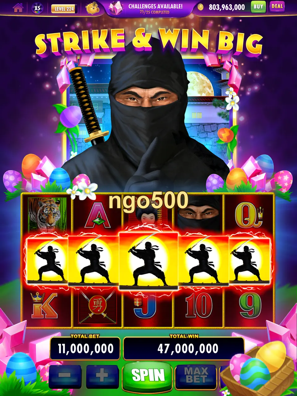 ngo500 APK